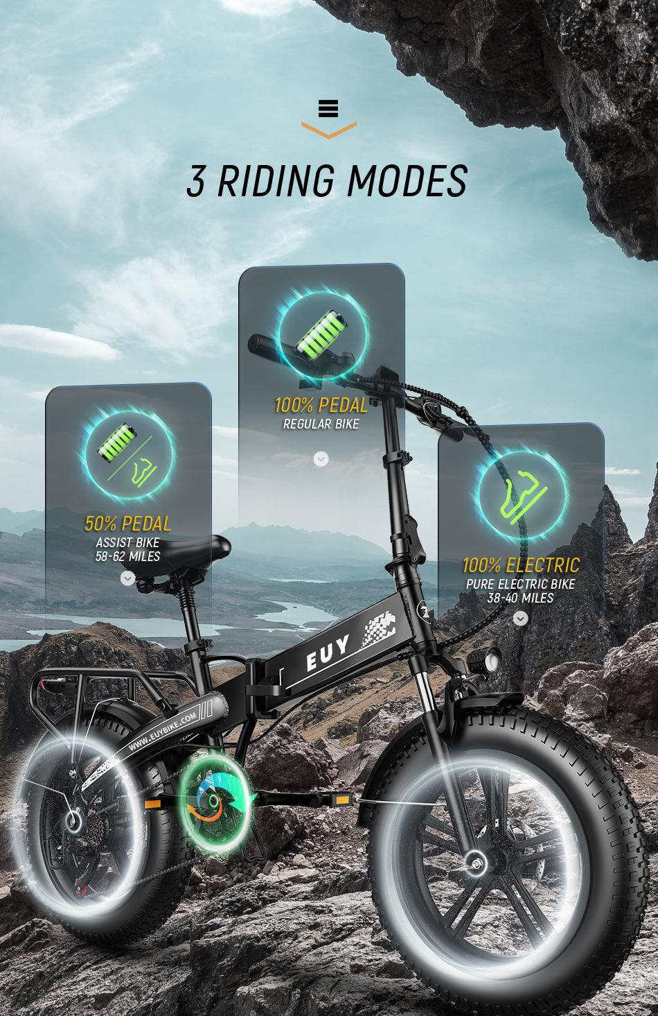 Electric Bike with All Terrain Fat Tires, 750W Motor, 12.8Ah Battery